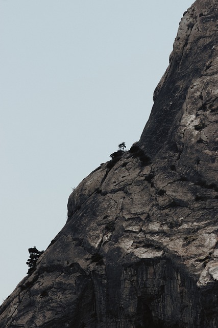 Natur, Fjell, Stein, Tre, Skråning