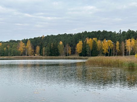 Toamnă, Pădure, Lac, Peisaj, Natură, Cer