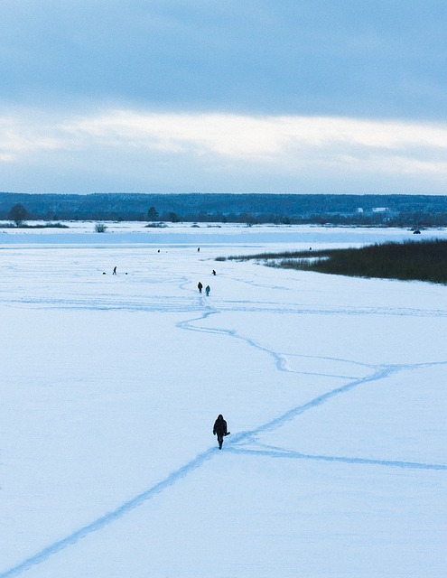 Winter, Sneeuw, Ijs, Natuur, Bevroren