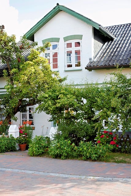 Hus, Hage, Tre, Hvit, Grønn, Øy, Vindu
