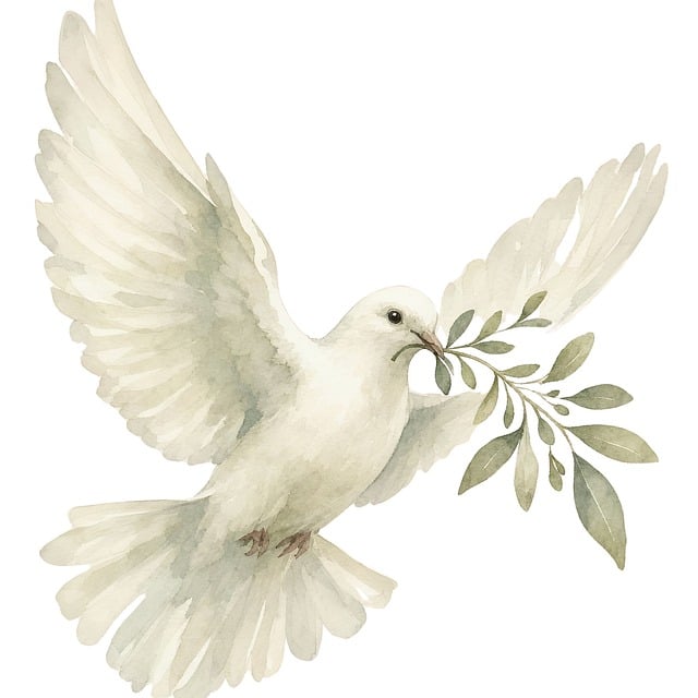 White dove with olive branch illustration - Pixabay