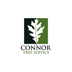 connortreeservice - Pixabay