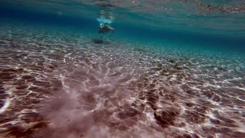 Tauchen Ozean Mädchen - Free video