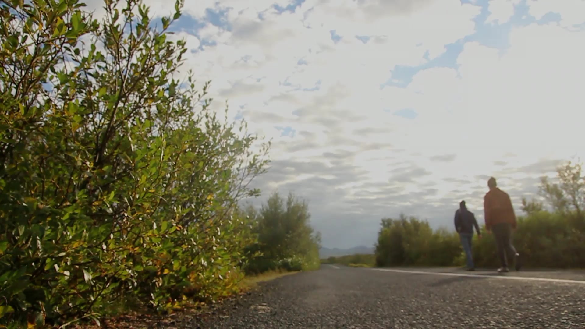hitch-hiking