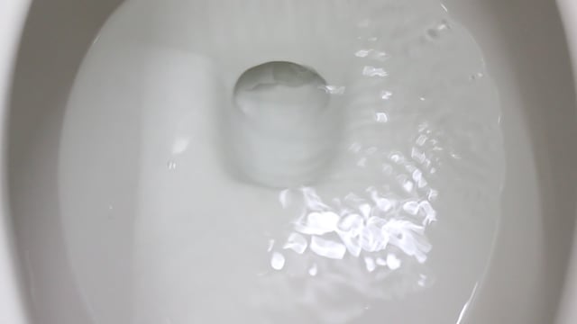 Elongated Toilet Videos: Download 24+ Free 4K & HD Stock Footage Clips ...