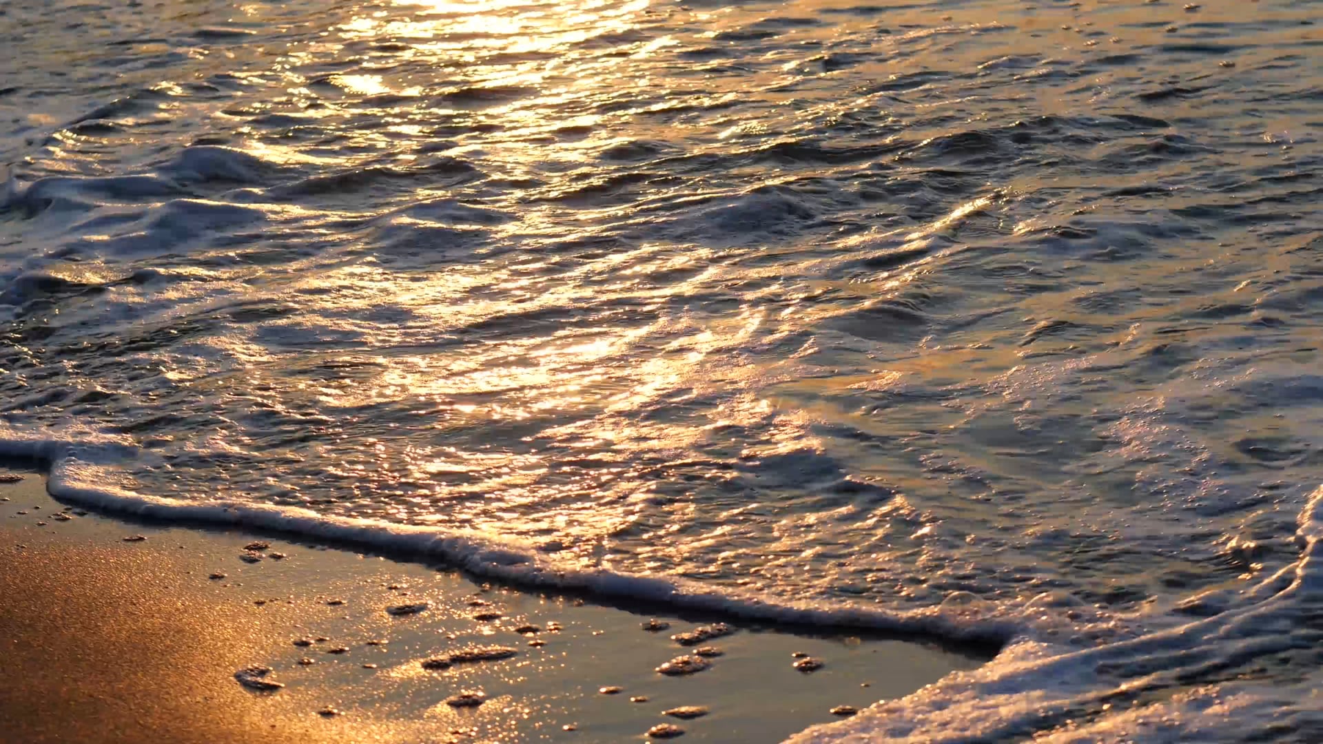 sea
