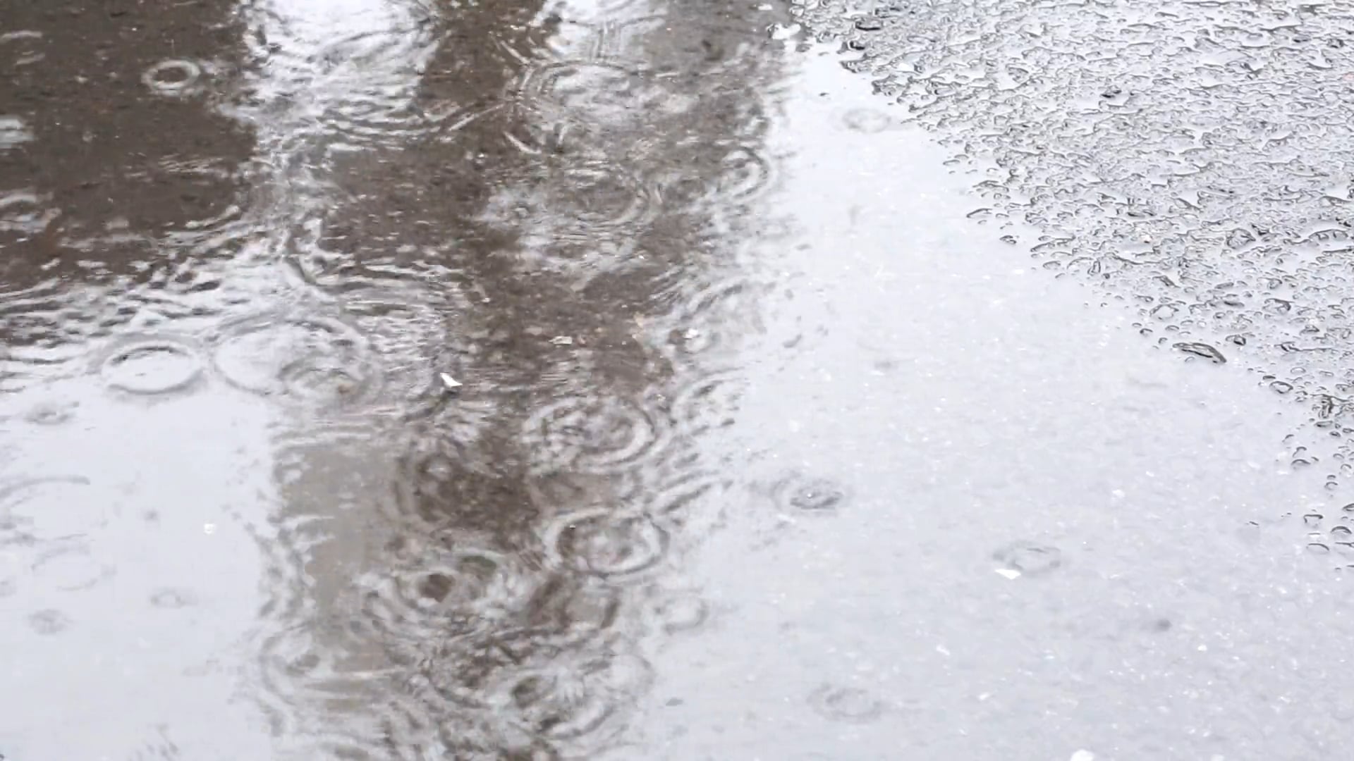 rain