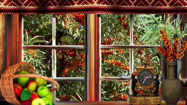 Autumn, Sea Buckthorn, Window. Free Stock Video - Pixabay