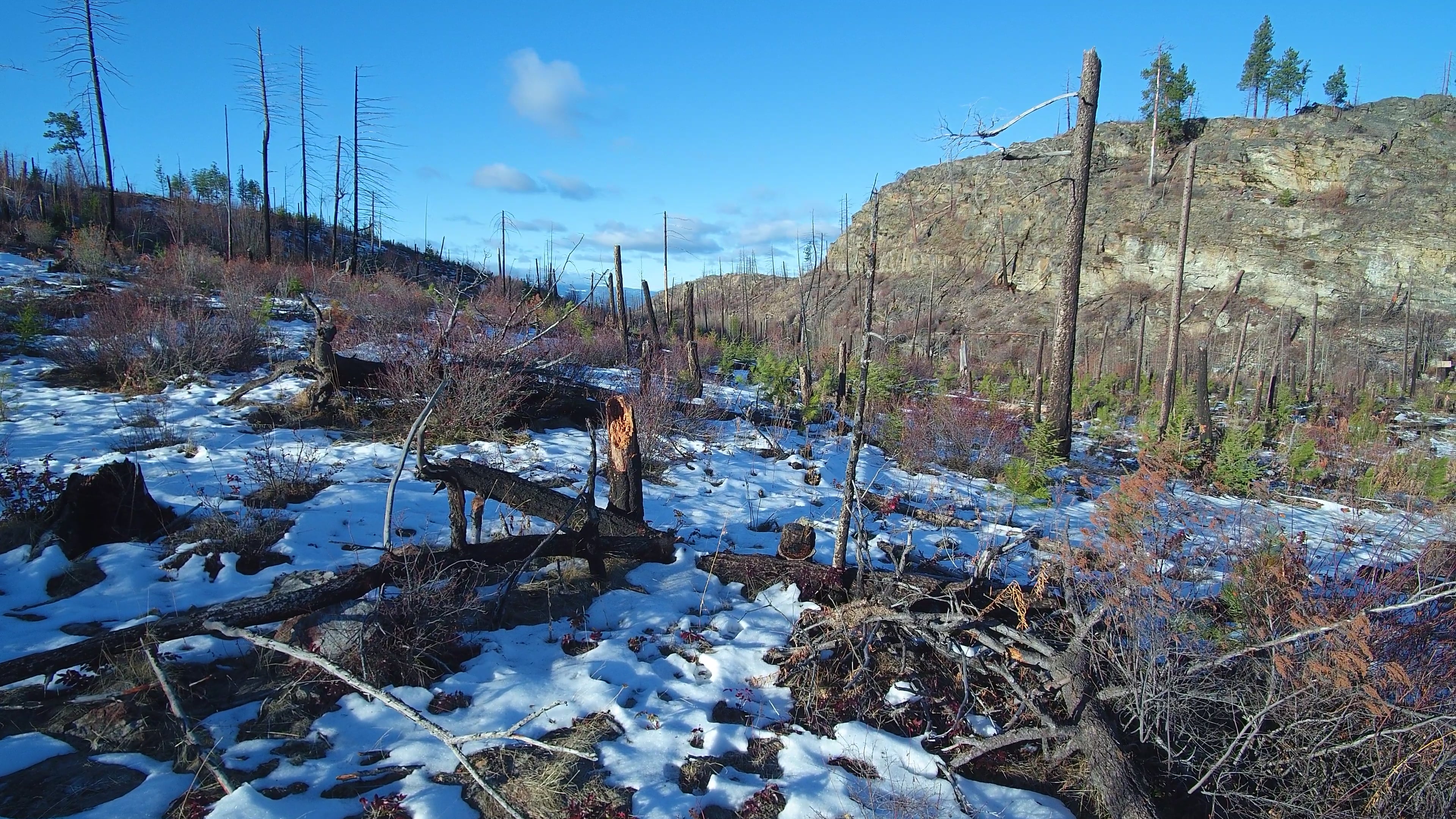okanagan — free pixabay stock footage