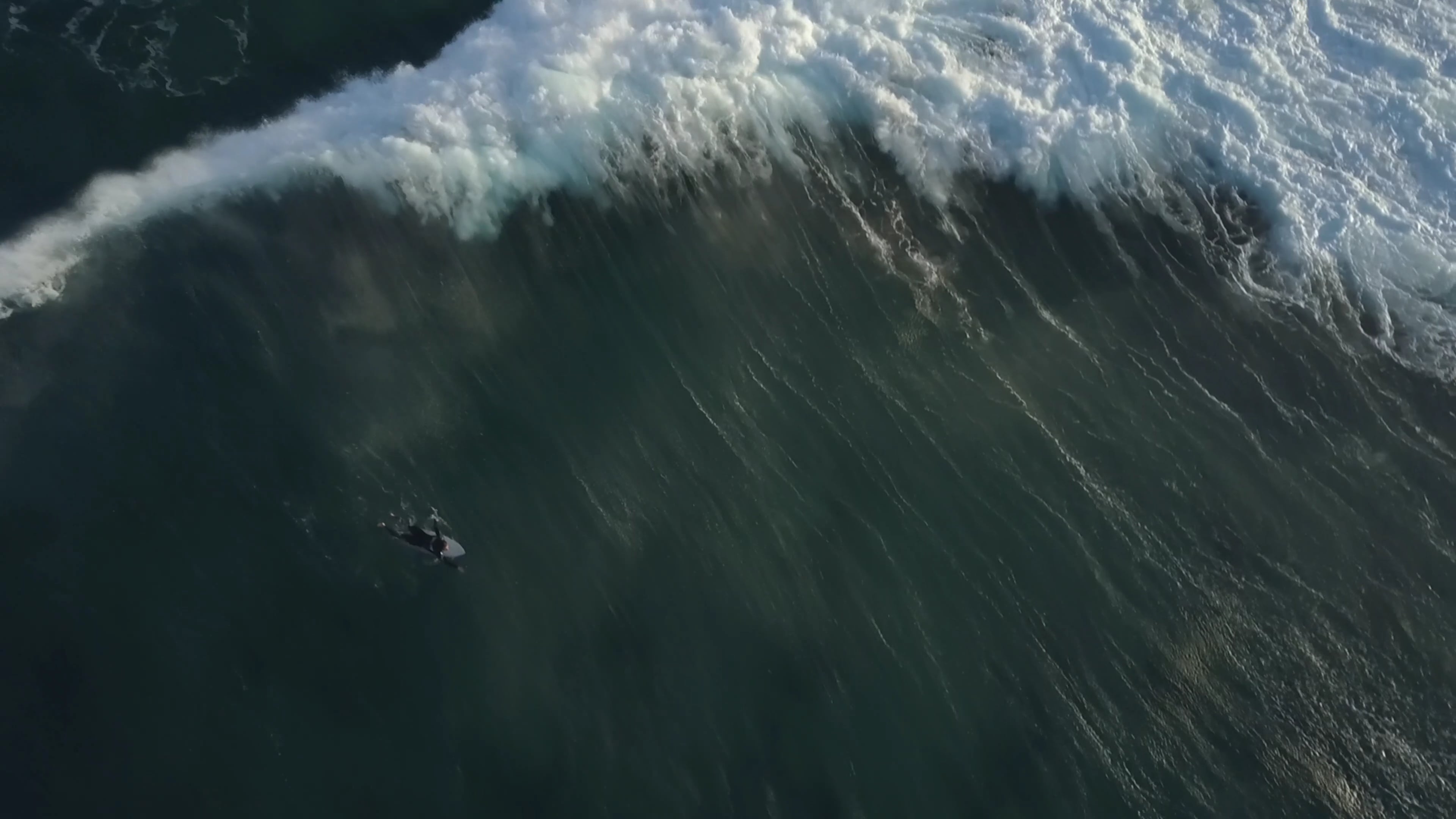 surfer