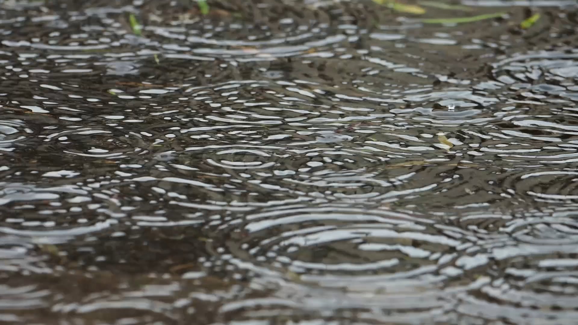 rain