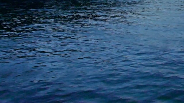 Water, Flow, Lake. Free Stock Video - Pixabay
