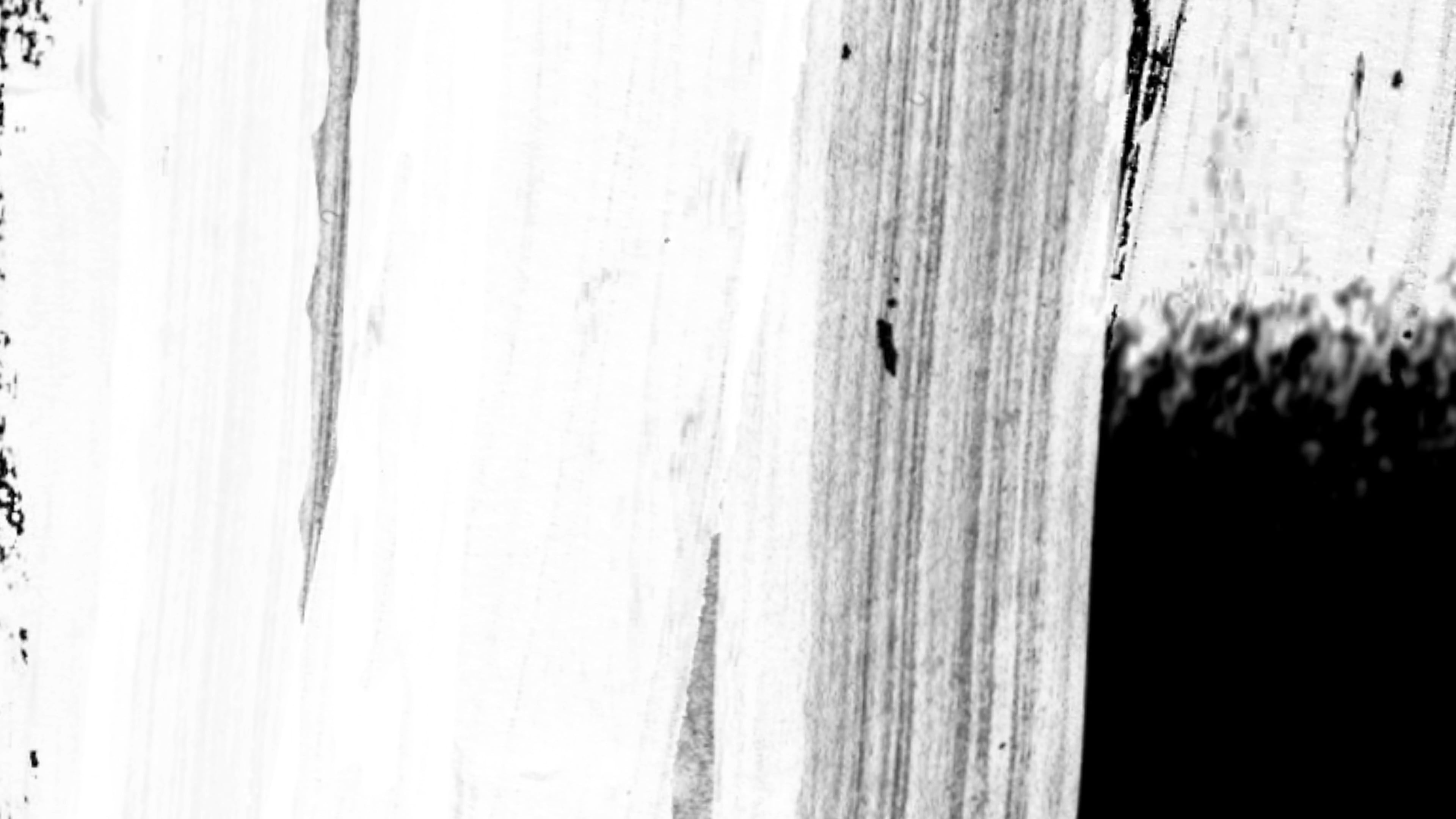 Transition Brush Black White