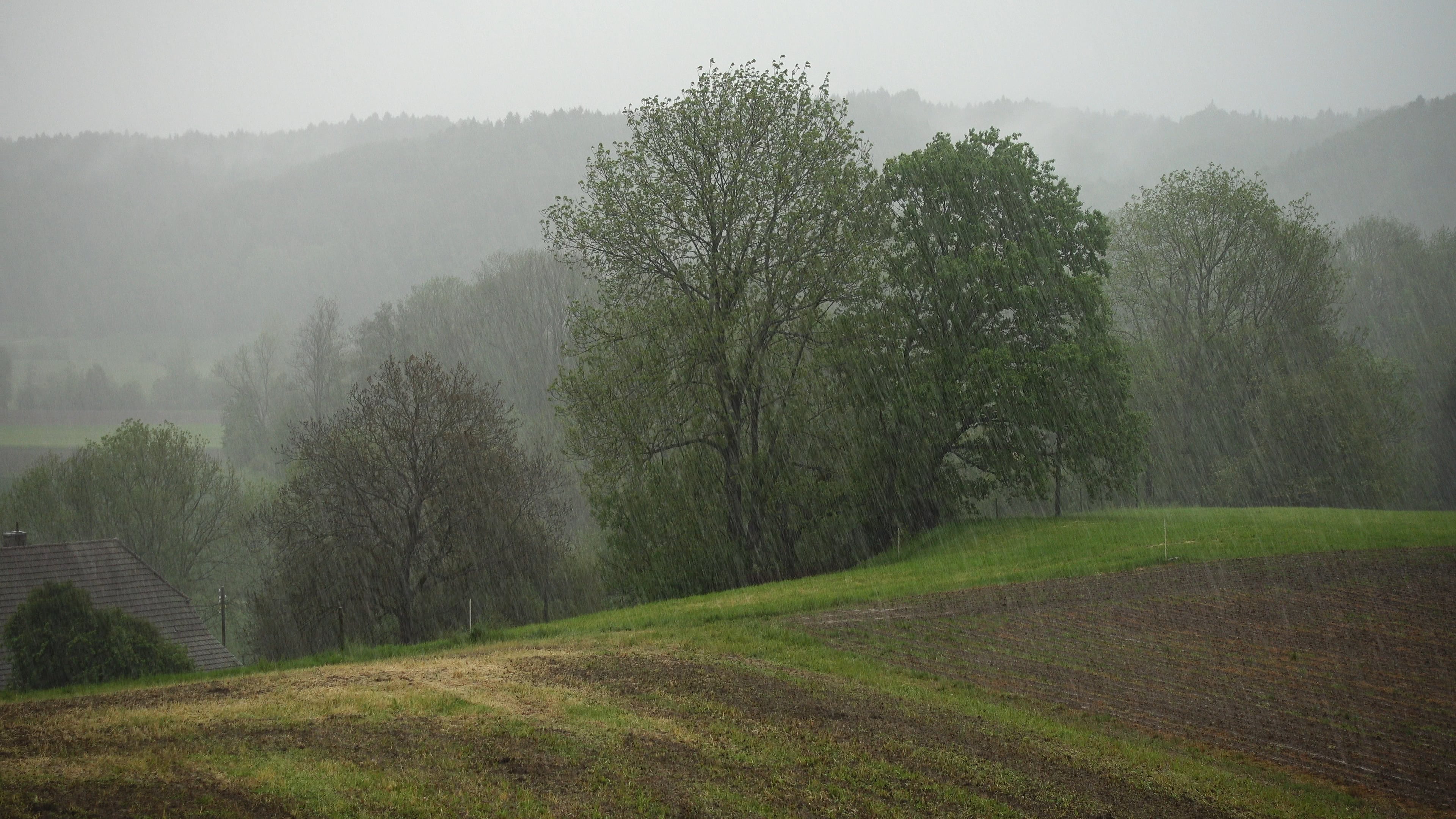 rain