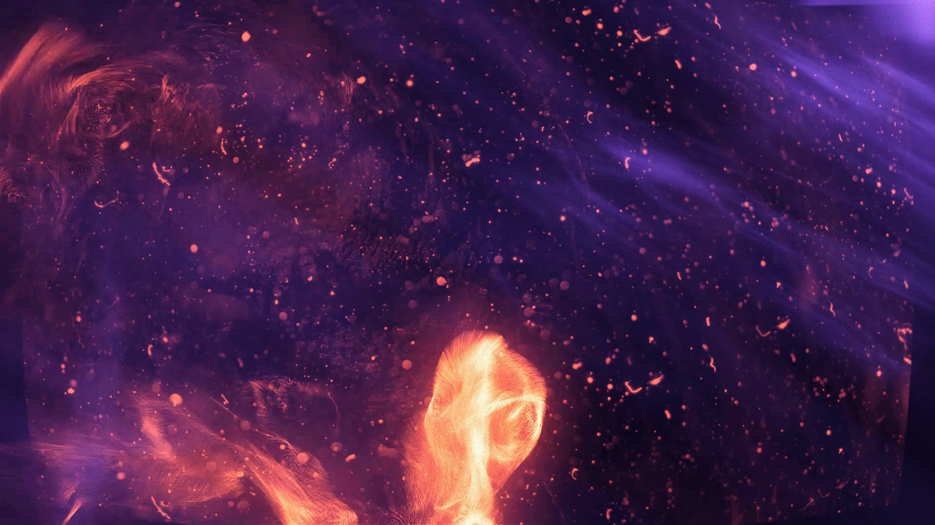 fire