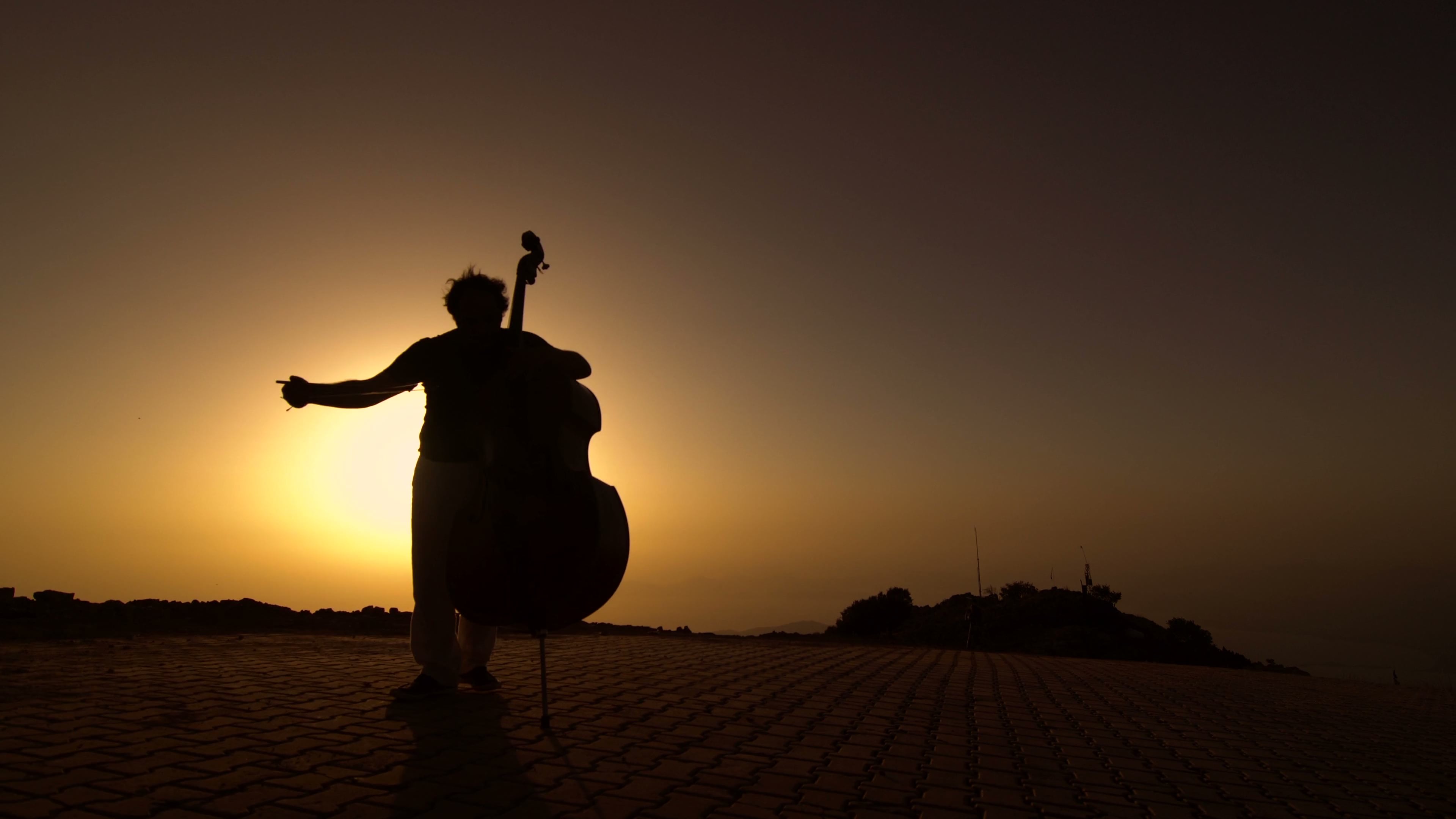 cello