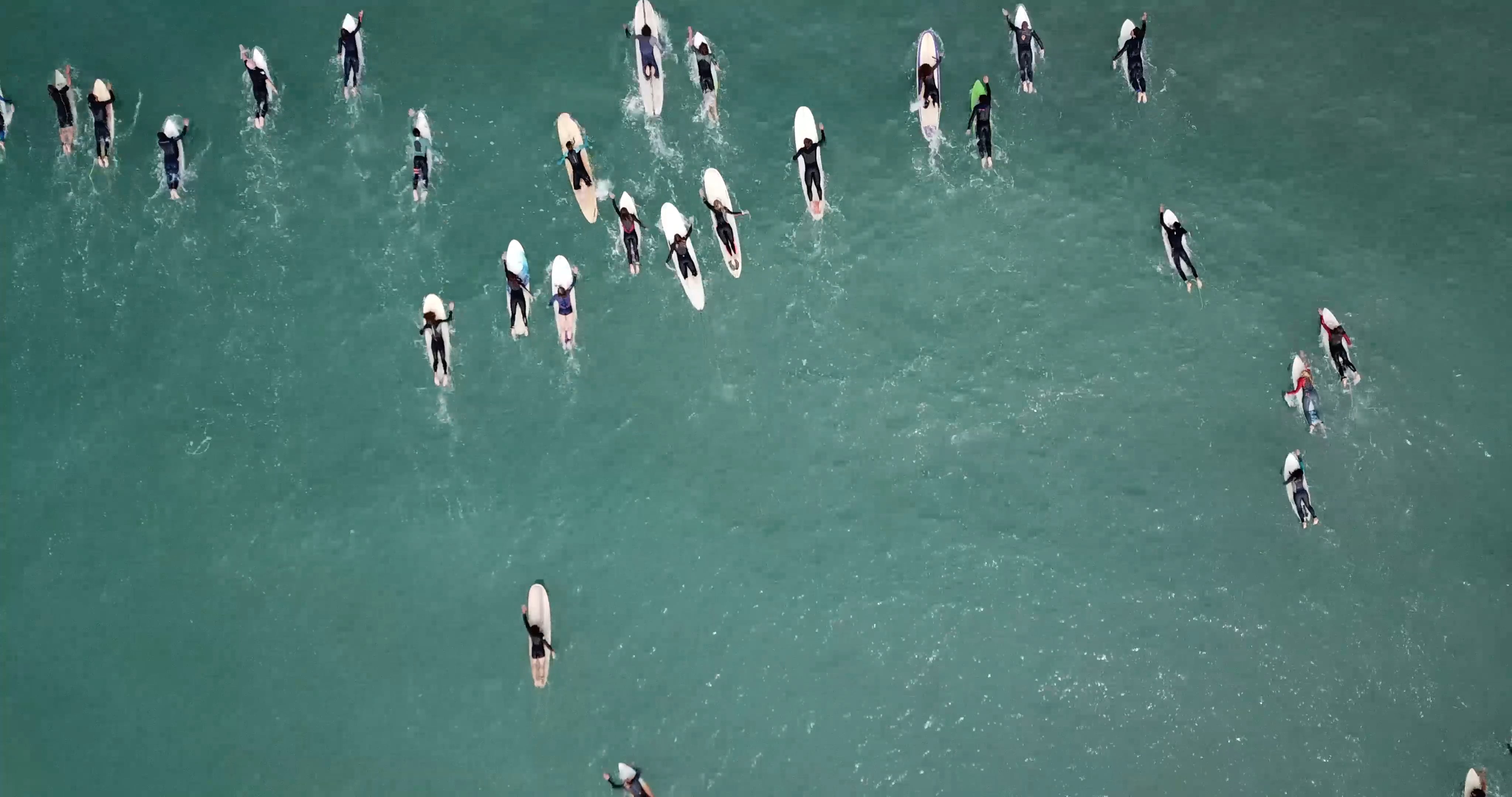 surf