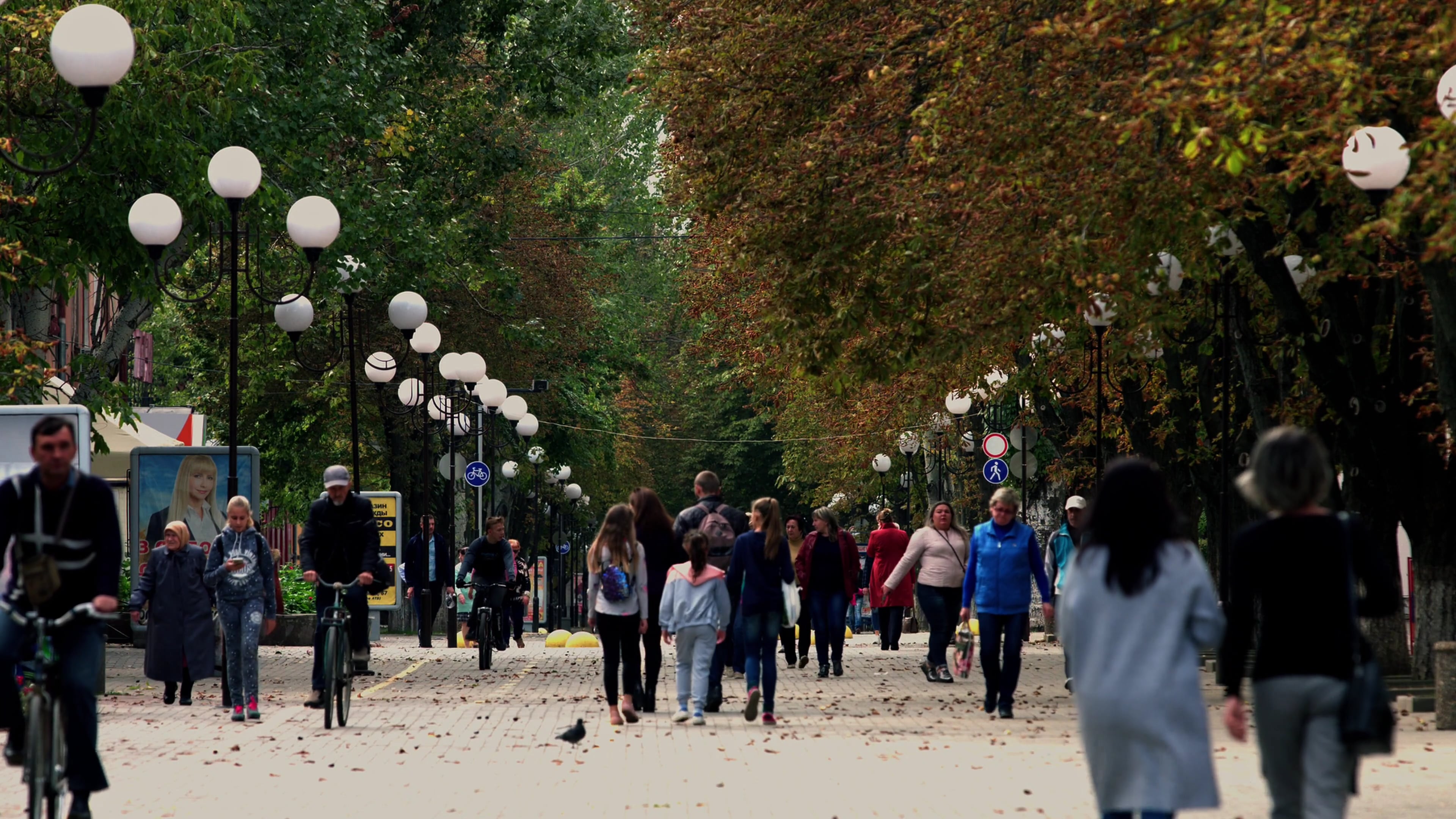 people — free pixabay stock footage