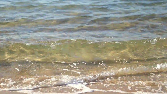 Beach, Waves, Ripples. Free Stock Video - Pixabay