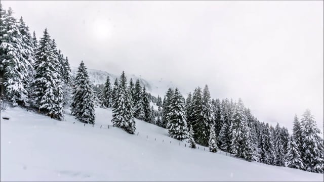 Neve Natureza Inverno - Free video on Pixabay
