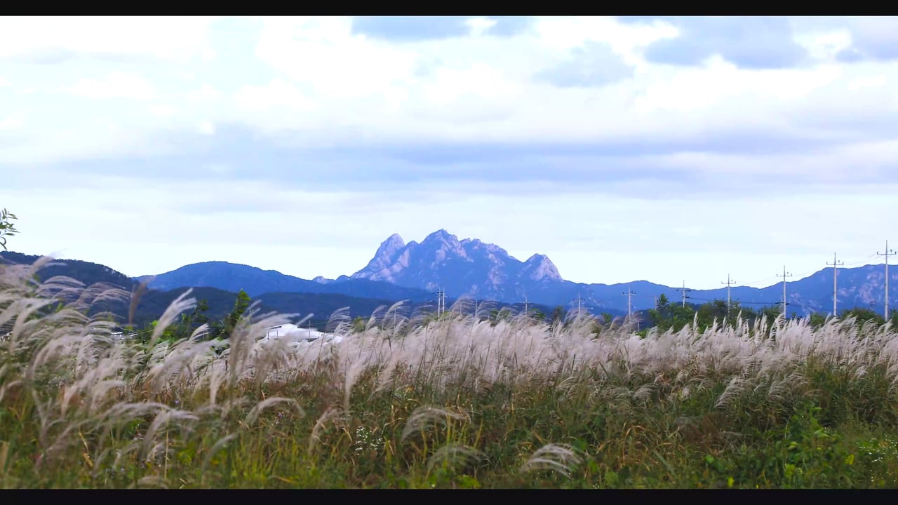 억새 가을풍경 북한산 - Free video on Pixabay