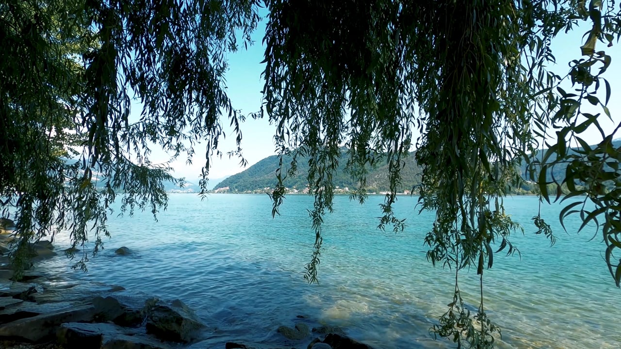 Lago Río Arroyo Free video on Pixabay Pixabay
