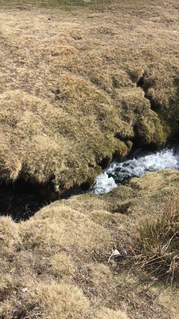 Water Flow River Free Stock Video Pixabay