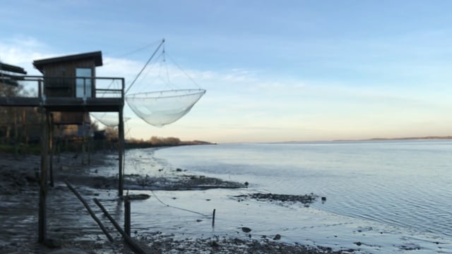 Plie Flotter Faire De La Pêche - Free video on Pixabay - Pixabay