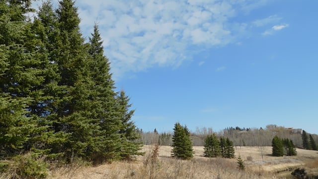 Alberta Fresh Spring Landscape, Early Spring, Alberta. Free Stock Video - Pixabay