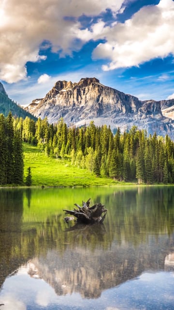Live Wallpaper Scenery Videos: Download 9,272+ Free 4K & HD Stock