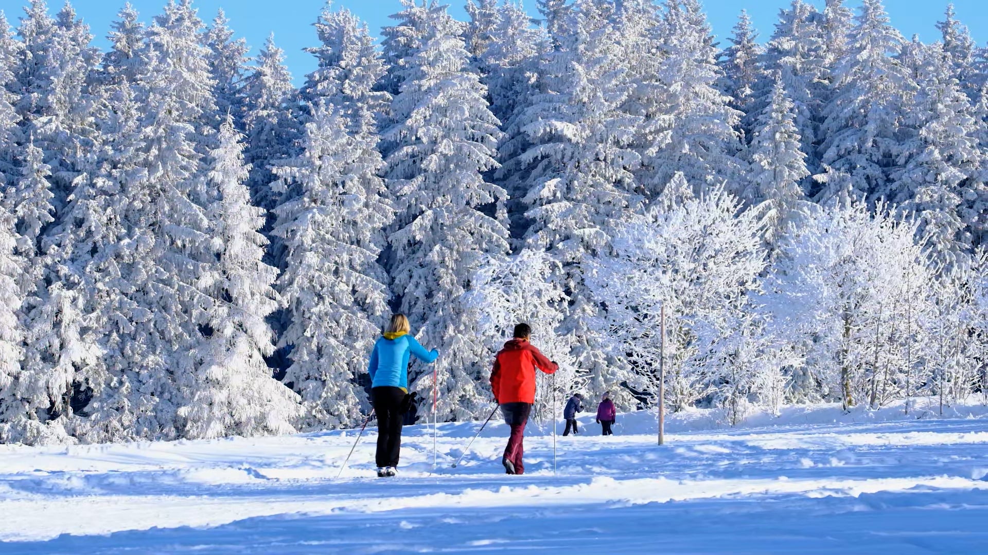 Winter Snow Cross-country Skiing Sports