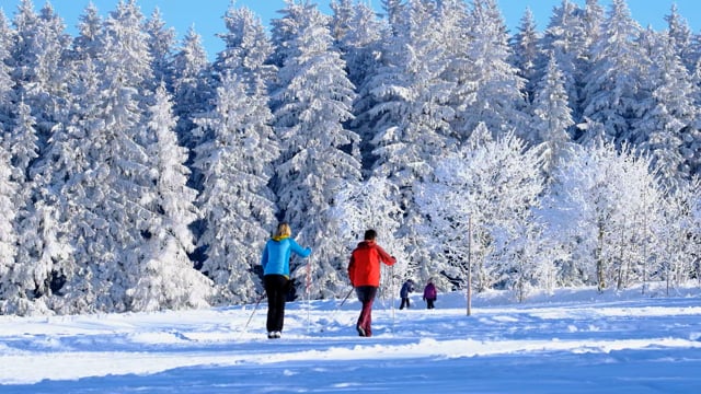 Winter, Snow, Cross-Country Skiing