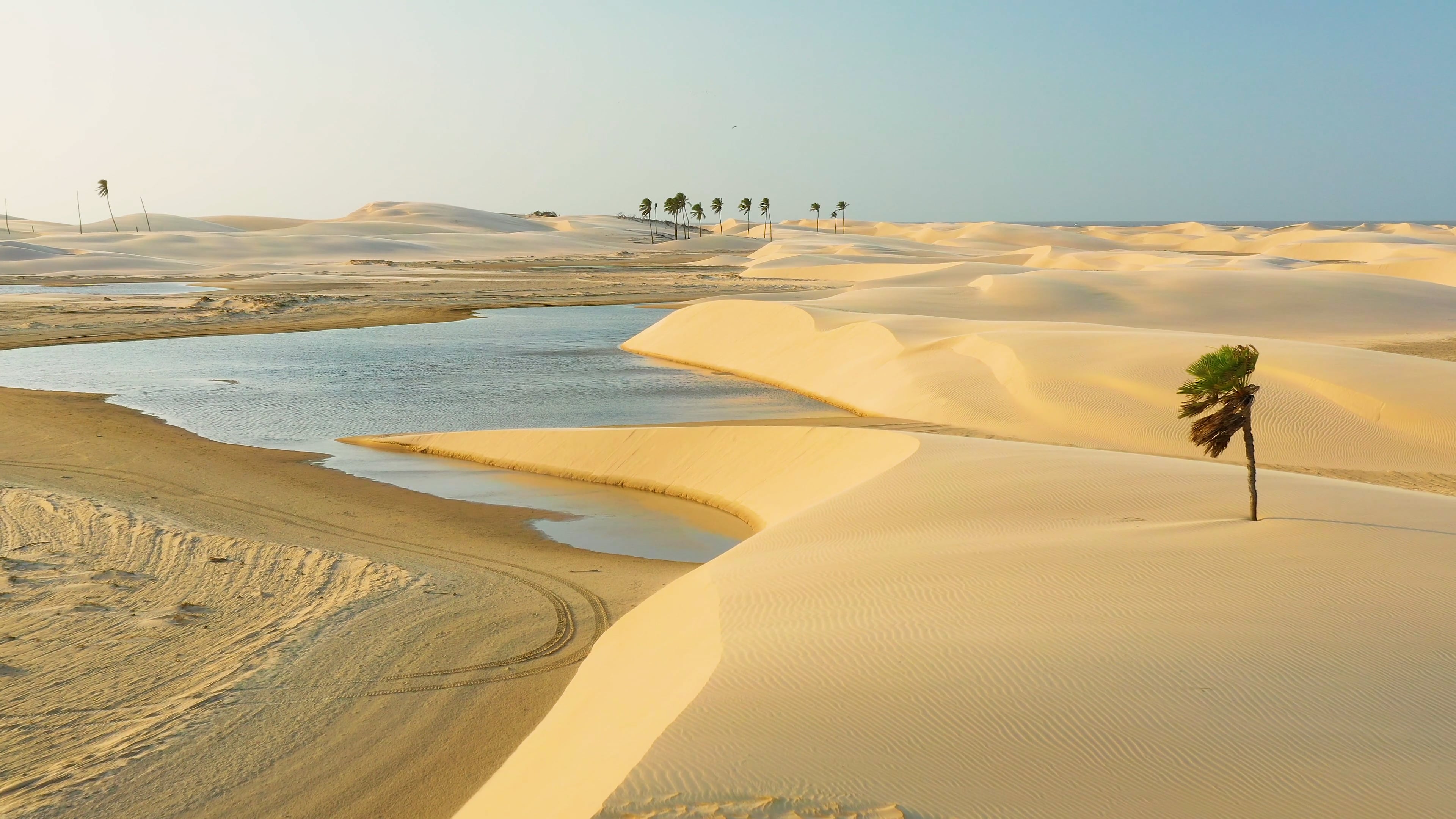desert — free pixabay stock footage