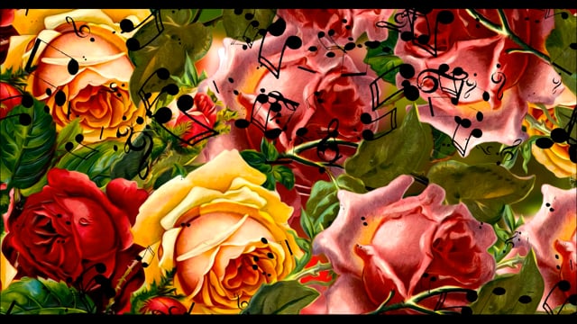 Flower Nature Music Free Stock Video Pixabay
