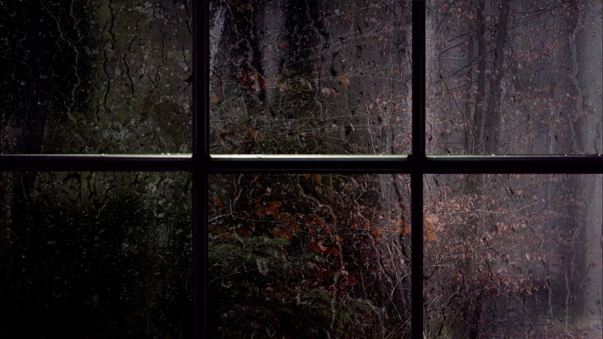window