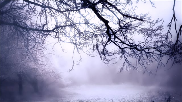 Snow Effect Videos: Download 5,873+ Free 4K & HD Stock Footage Clips ...