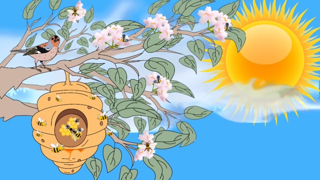 Bee, Spring, Flower. Free Stock Video - Pixabay