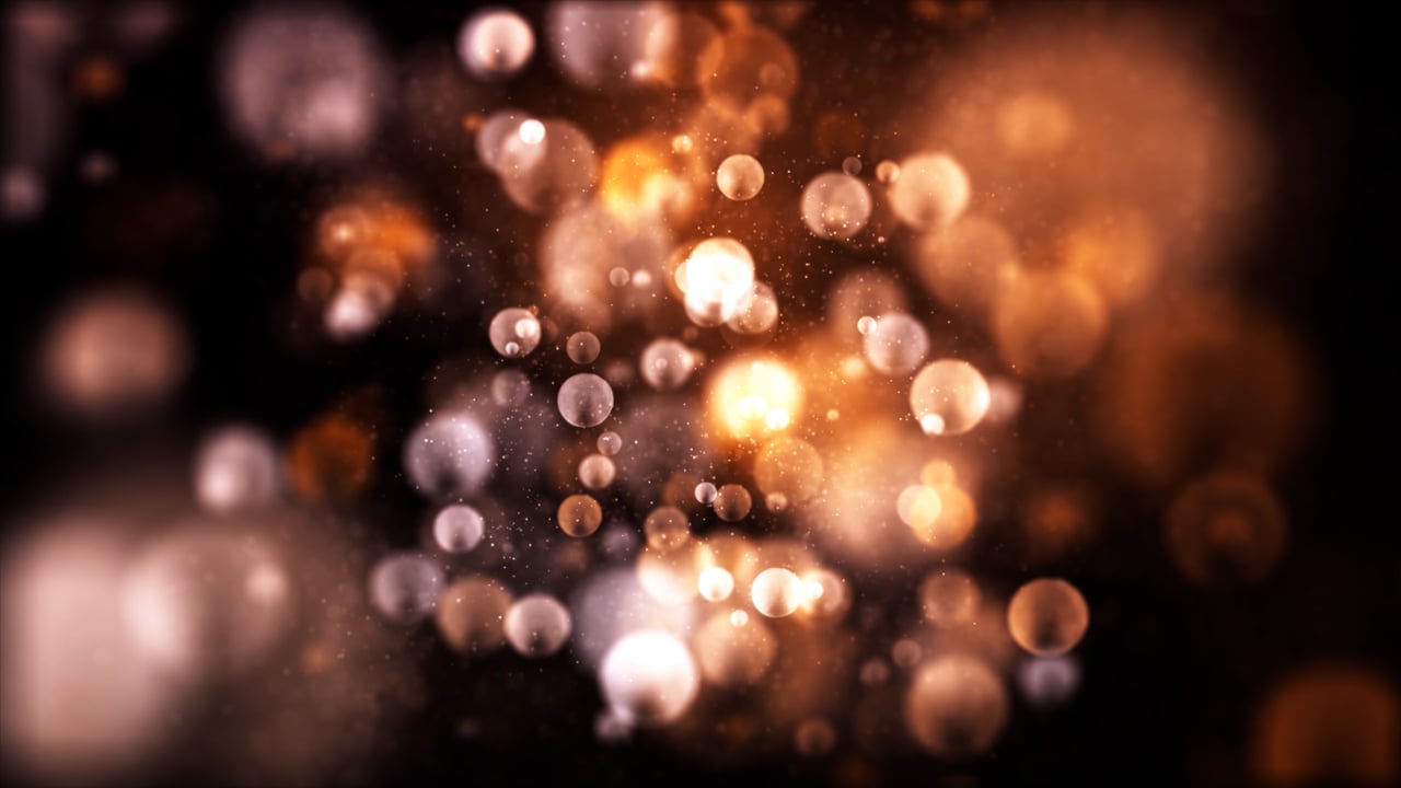 Light, Night, Firework, Invertebrate