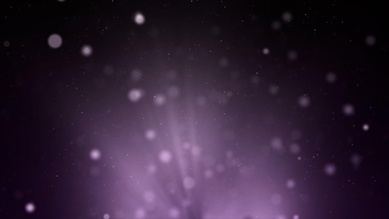 Starry Sky Videos: Download 8,485+ Free 4K & HD Stock Footage Clips ...
