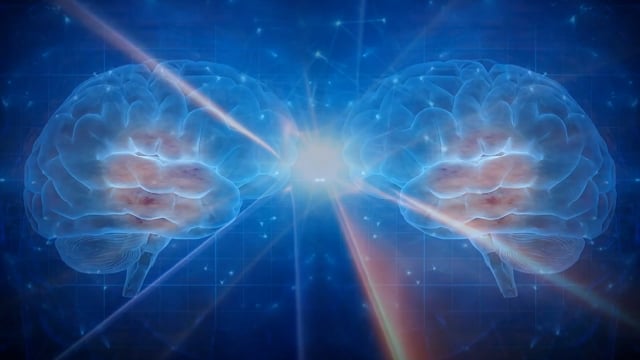 Brain, Technology, Data. Free Stock Video - Pixabay