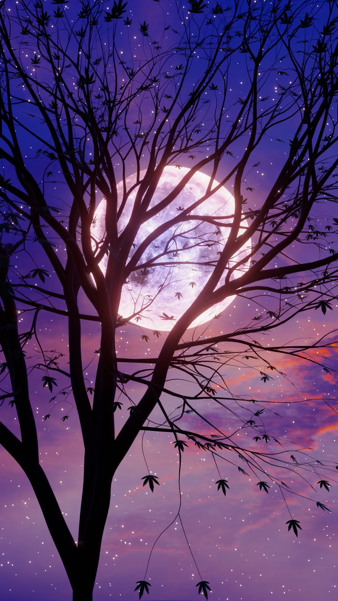moon — free pixabay stock footage