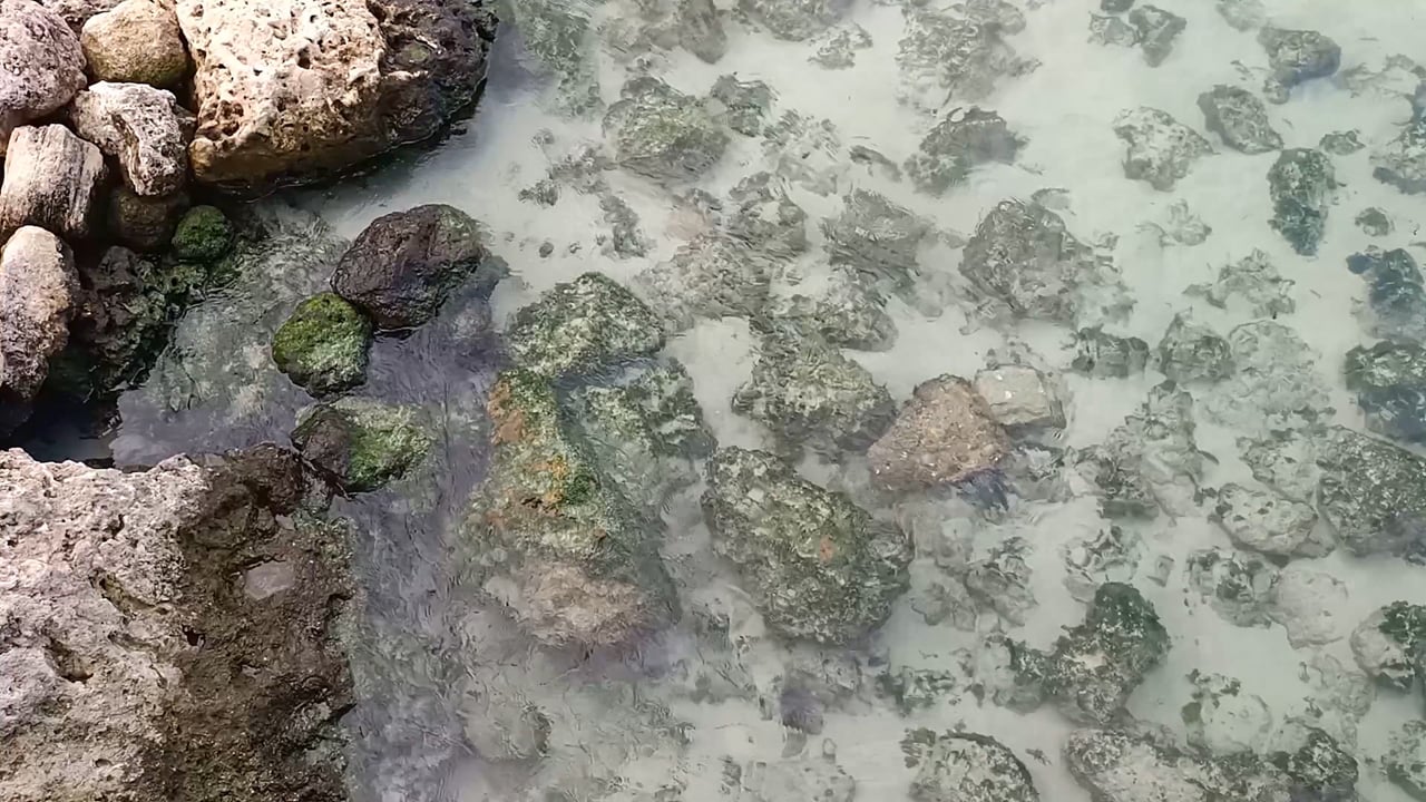 Ocean, Rocks, Beach. Free Stock Video - Pixabay