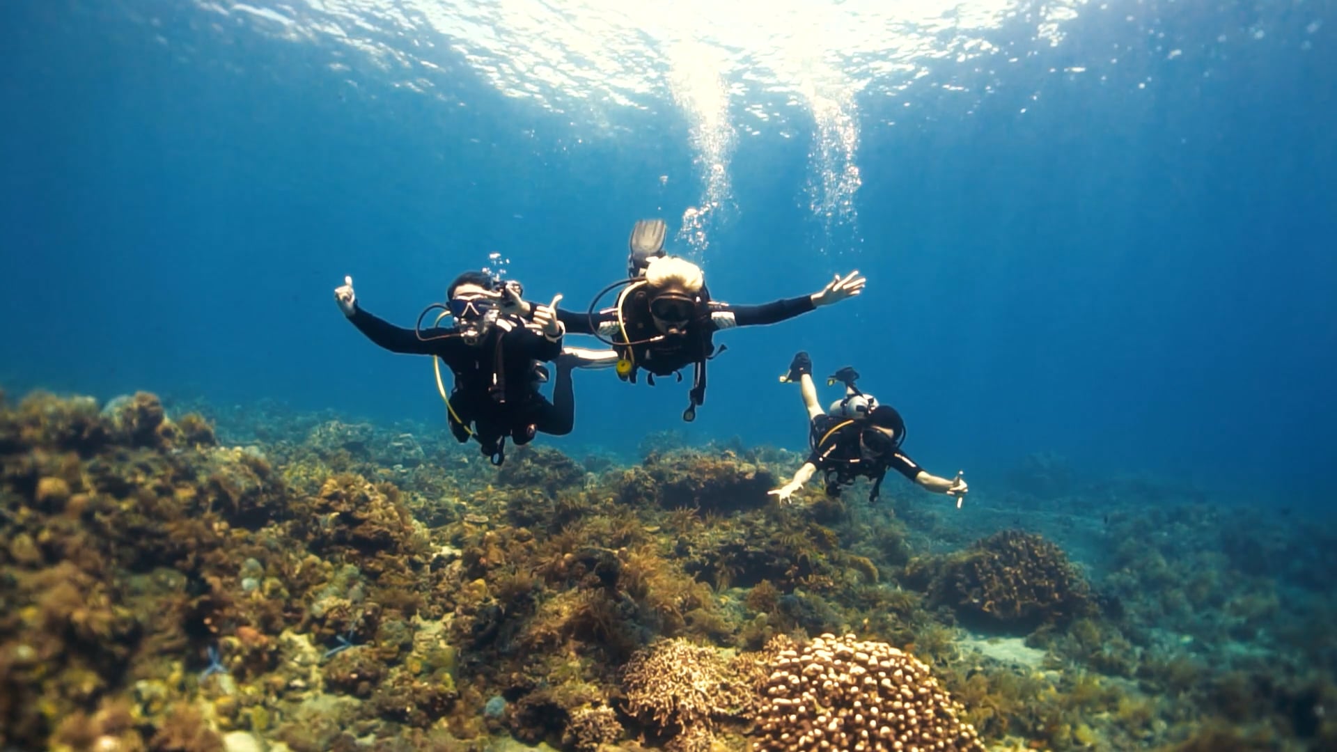 divers — free pixabay stock footage