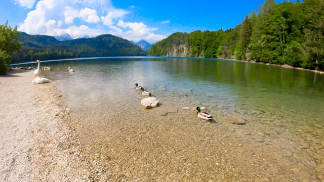 Lake, Beautiful Wallpaper, Mountain