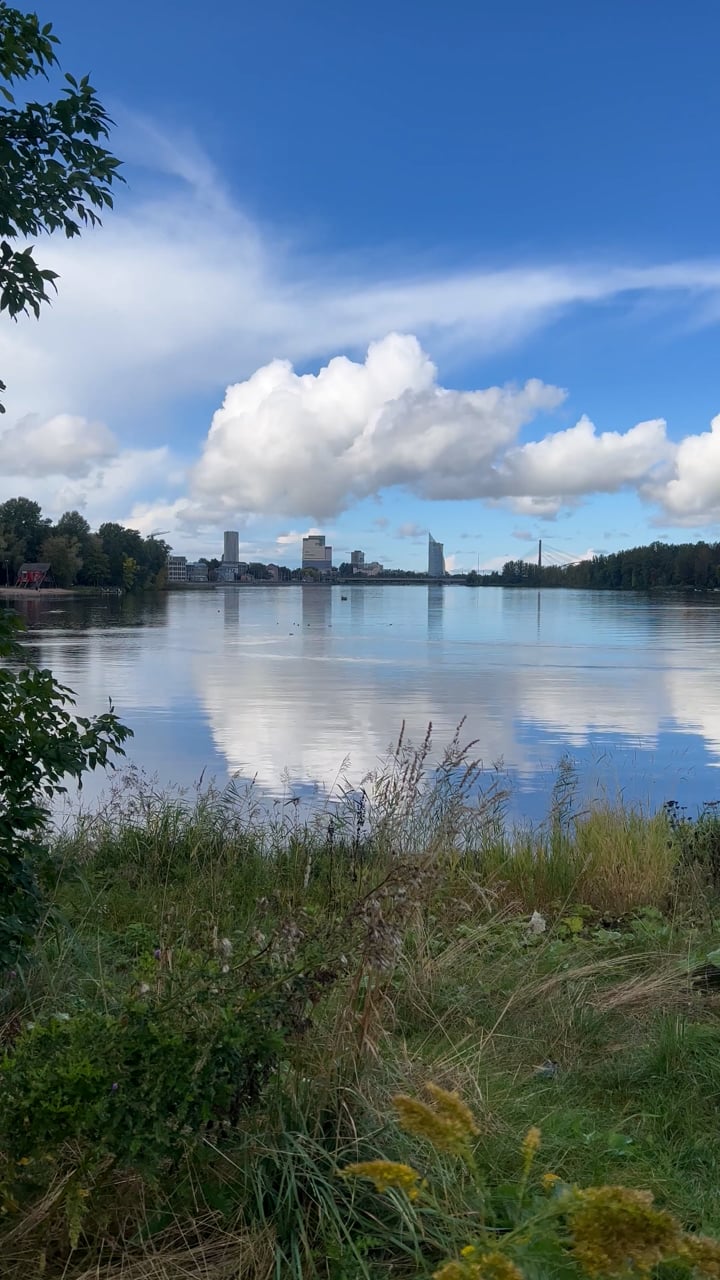 River, Shore, City. Free Stock Video - Pixabay