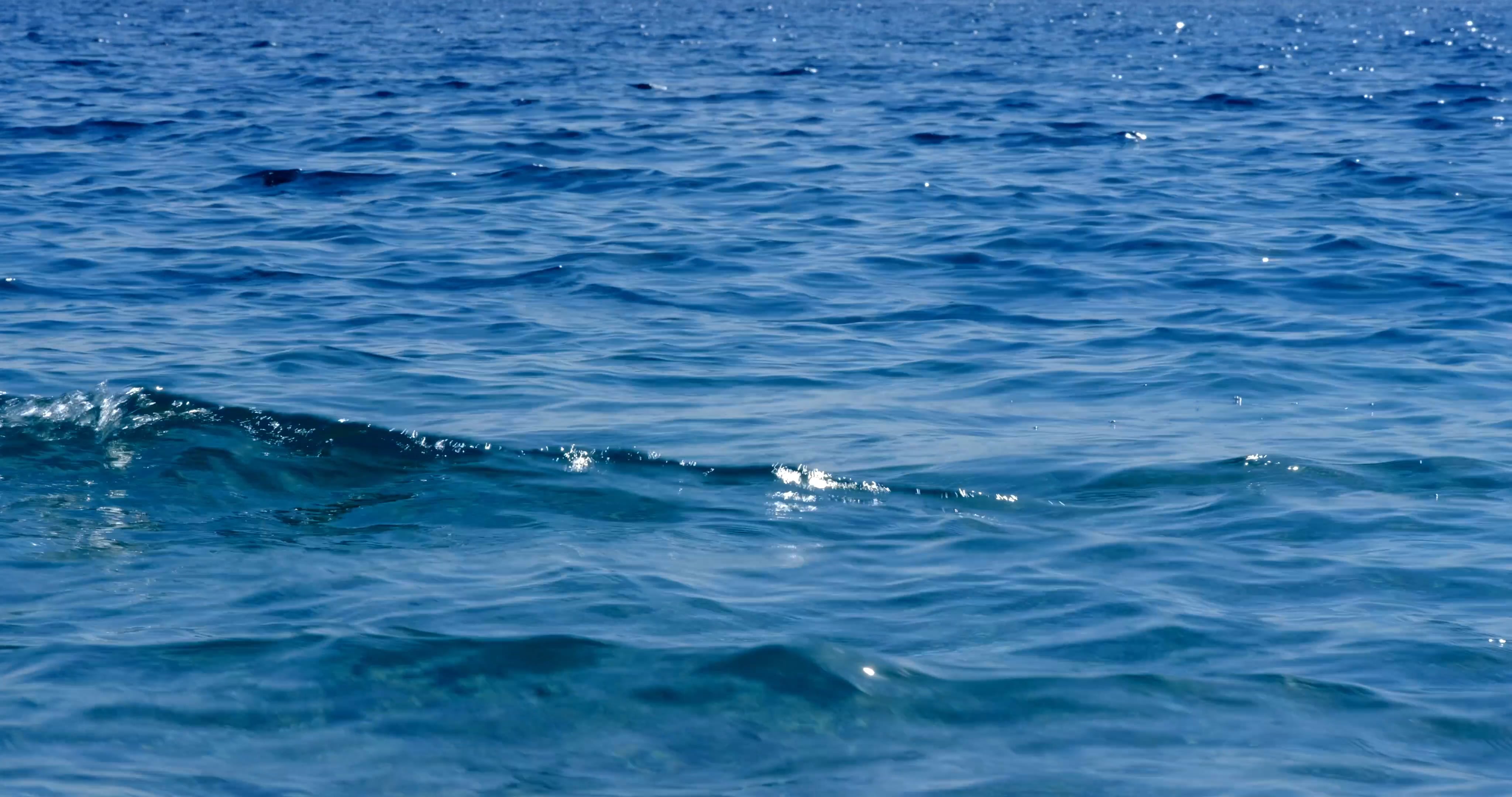 sea