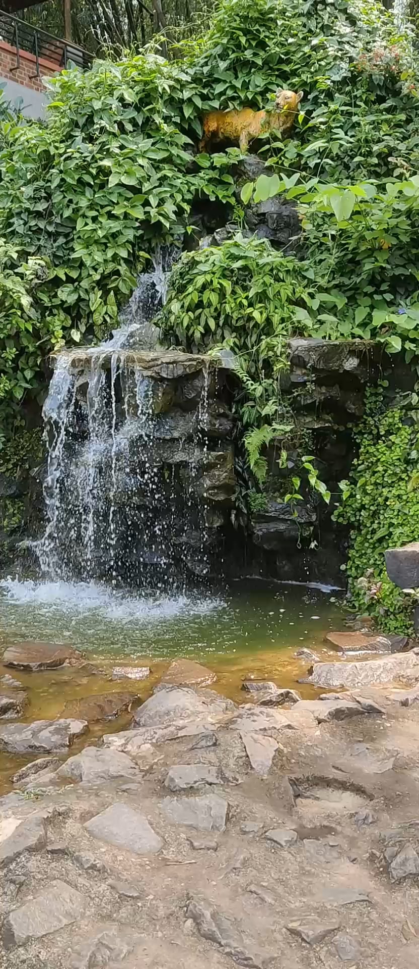 waterfall