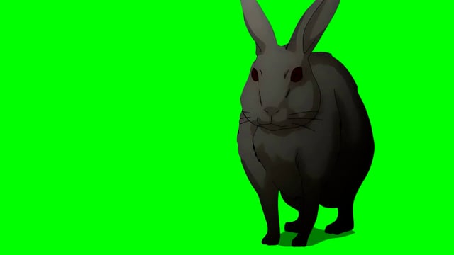 Rabbit Animation Videos: Download 6,848+ Free 4K & HD Stock Footage ...