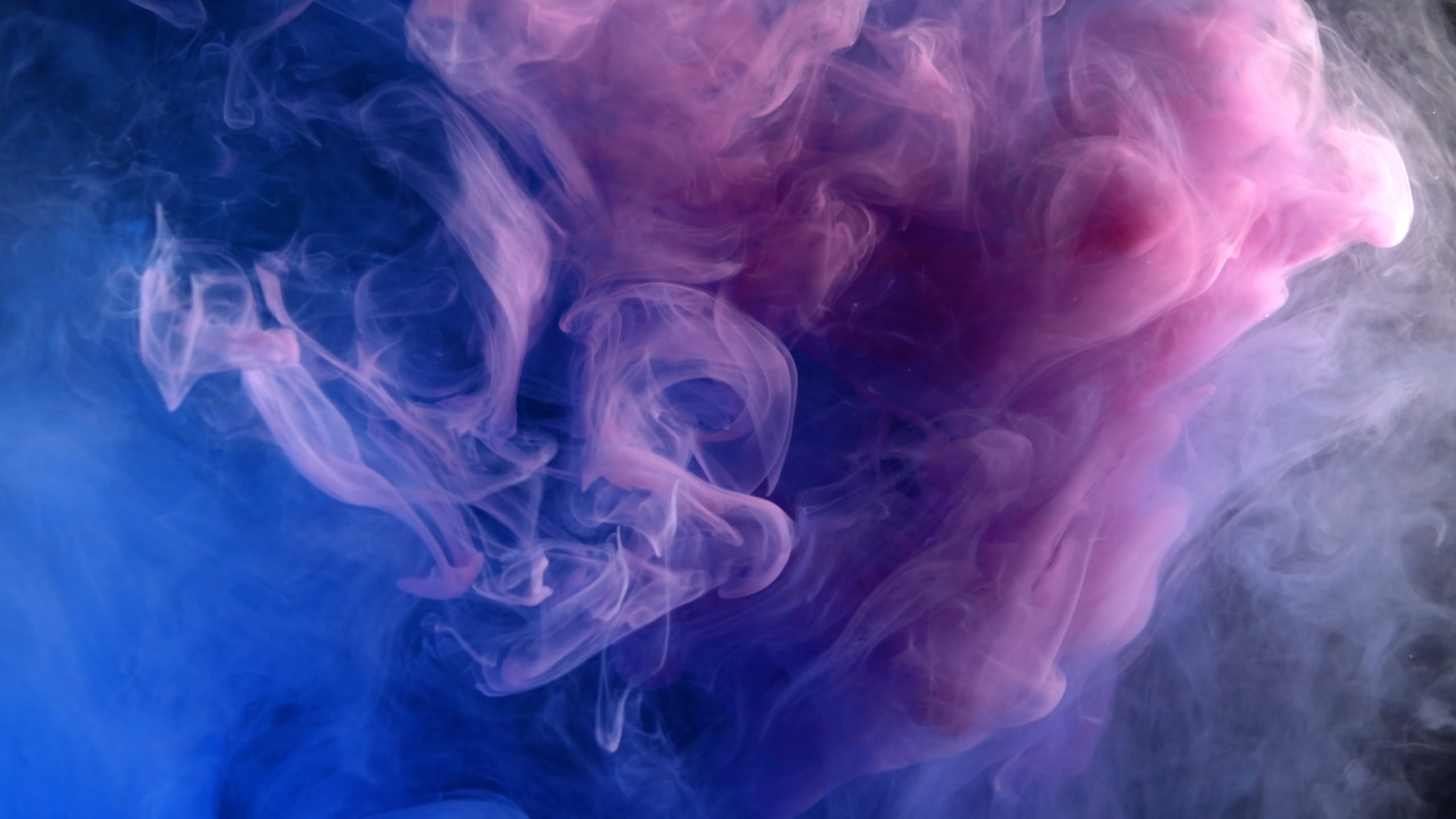 ink — free pixabay stock footage