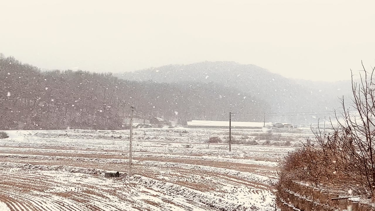 雪 下雪天 冬天 - Free video on Pixabay